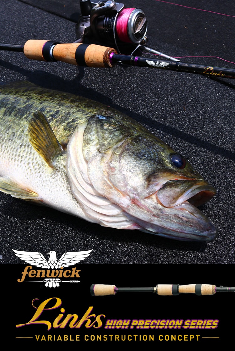 ティムコTIEMCO ライン SAフリークエンシィ シンキング INT/I WF8S 120586 : ティムコ(TIEMCO) ライン SAフリークエンシィ