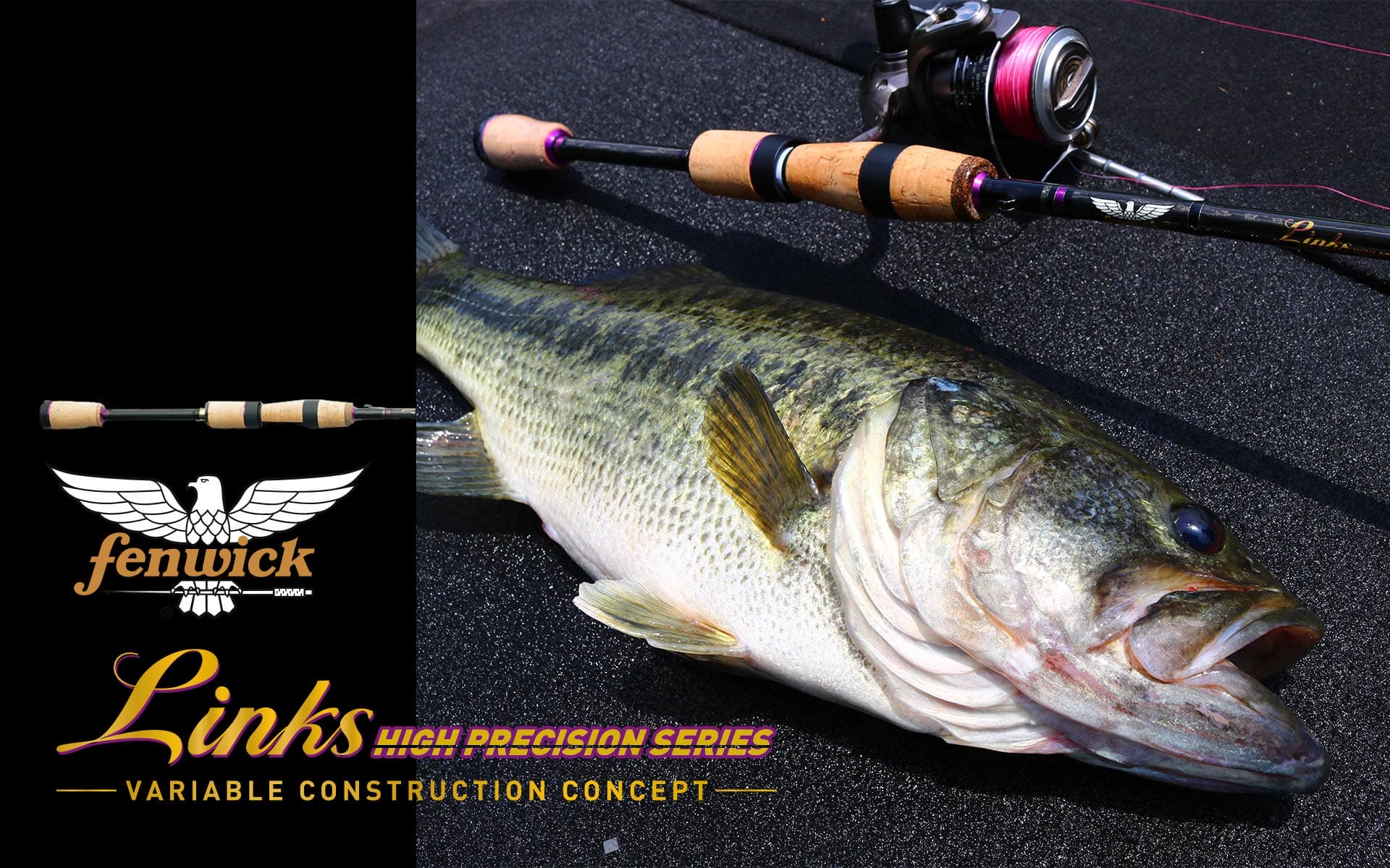 TIEMCOルアーフィッシング公式サイト | Lure Fishing