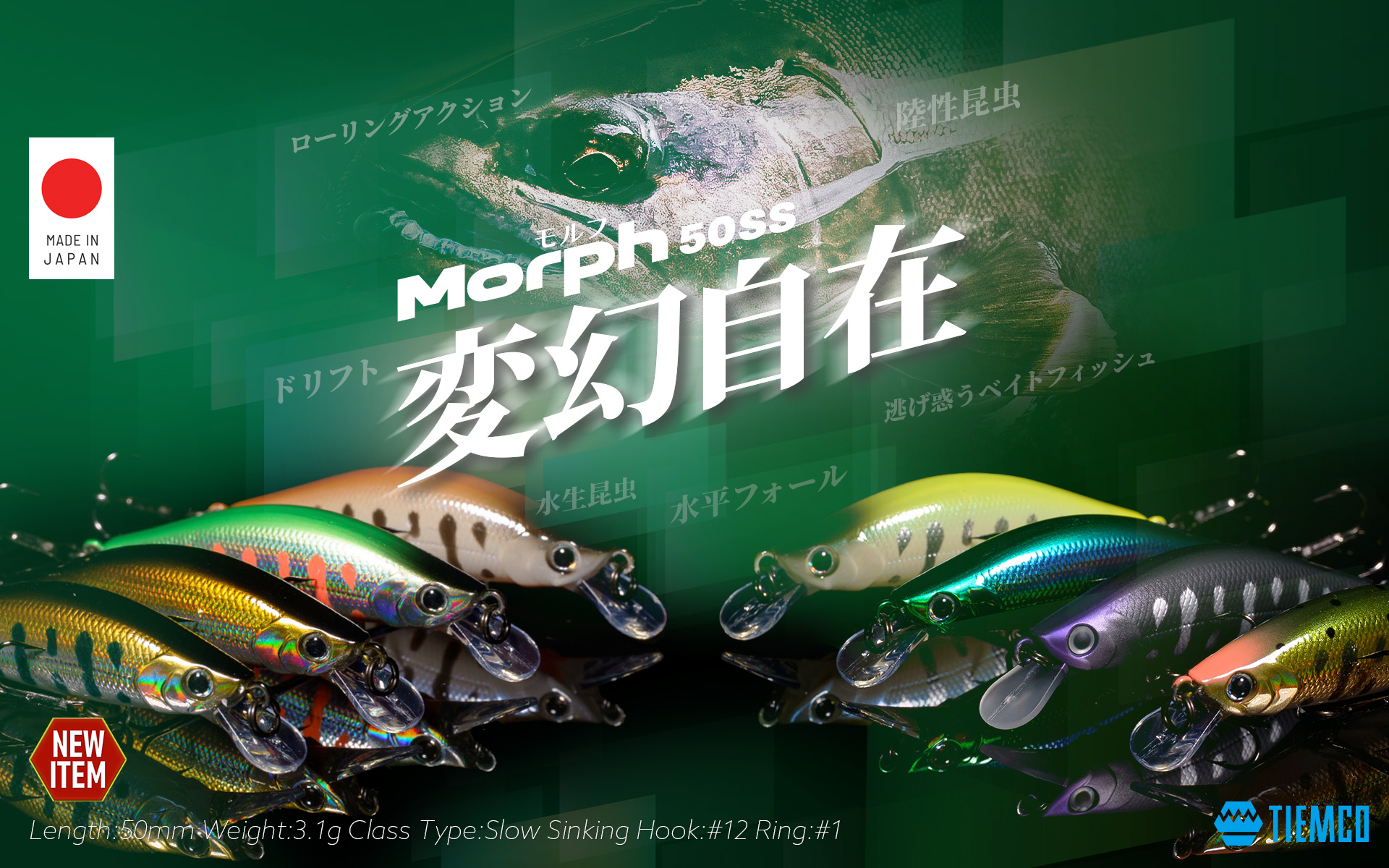 WEB限定 モルフ50SS | TIEMCOルアーフィッシング公式サイト | Lure Fishing