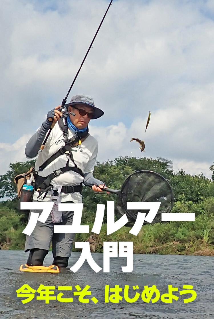 TIEMCO | 株式会社ティムコ公式サイト