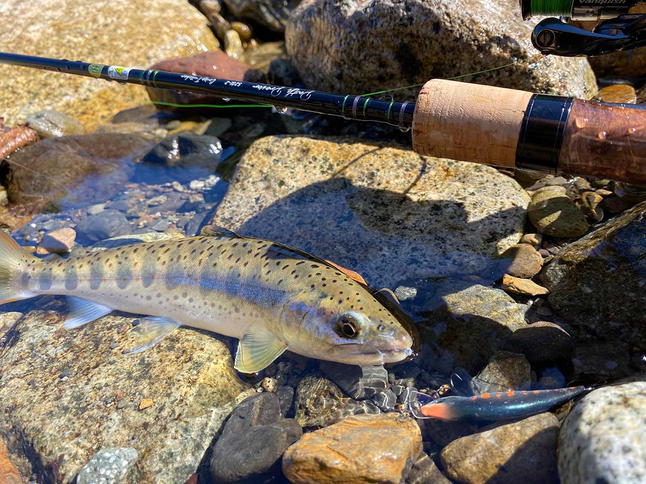 パスプルーバー