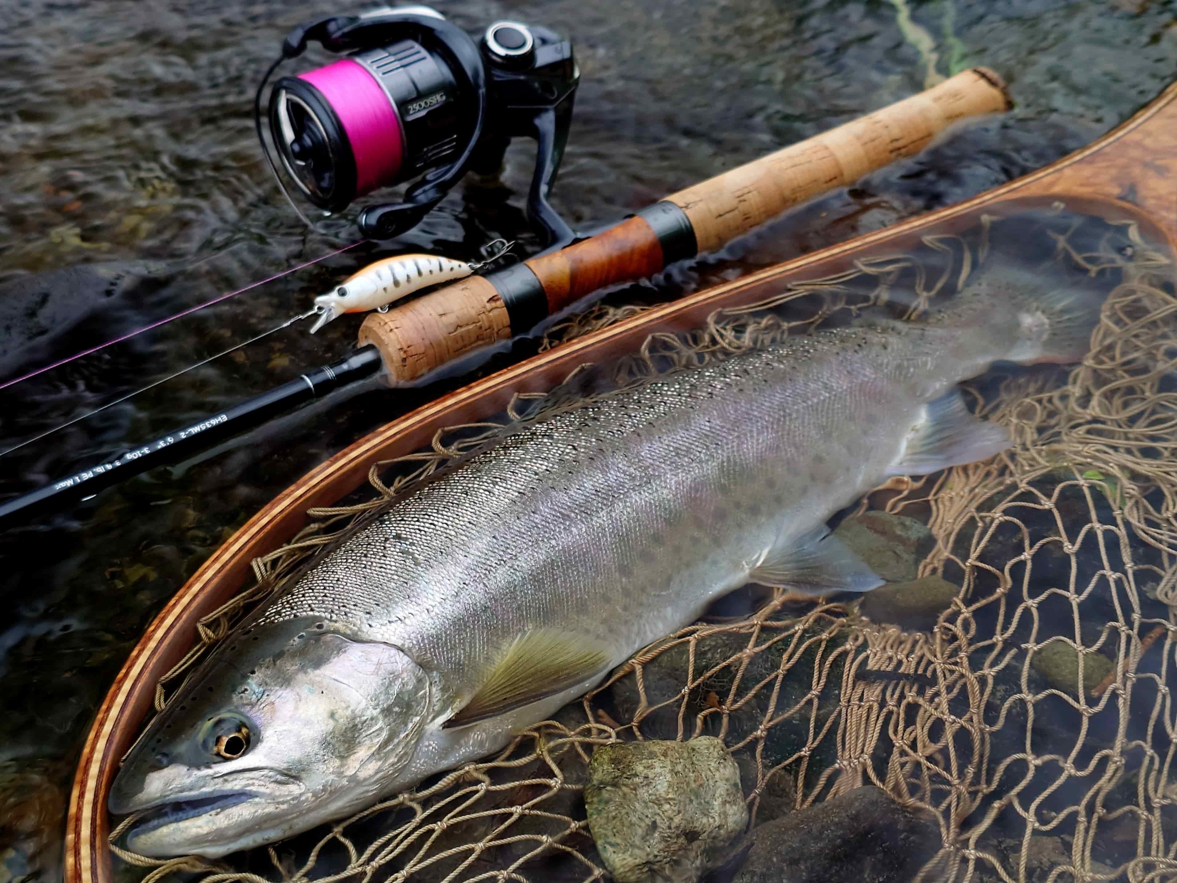 トラウトスタッフ髙橋伸雄「婚姻色の夏ヤマメ」