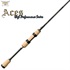 ACES エイシス スピニングロッド