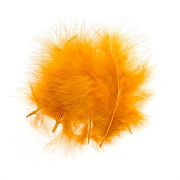 セレクトマラブー(TMCセレクトマラブー　31ジンジャー)