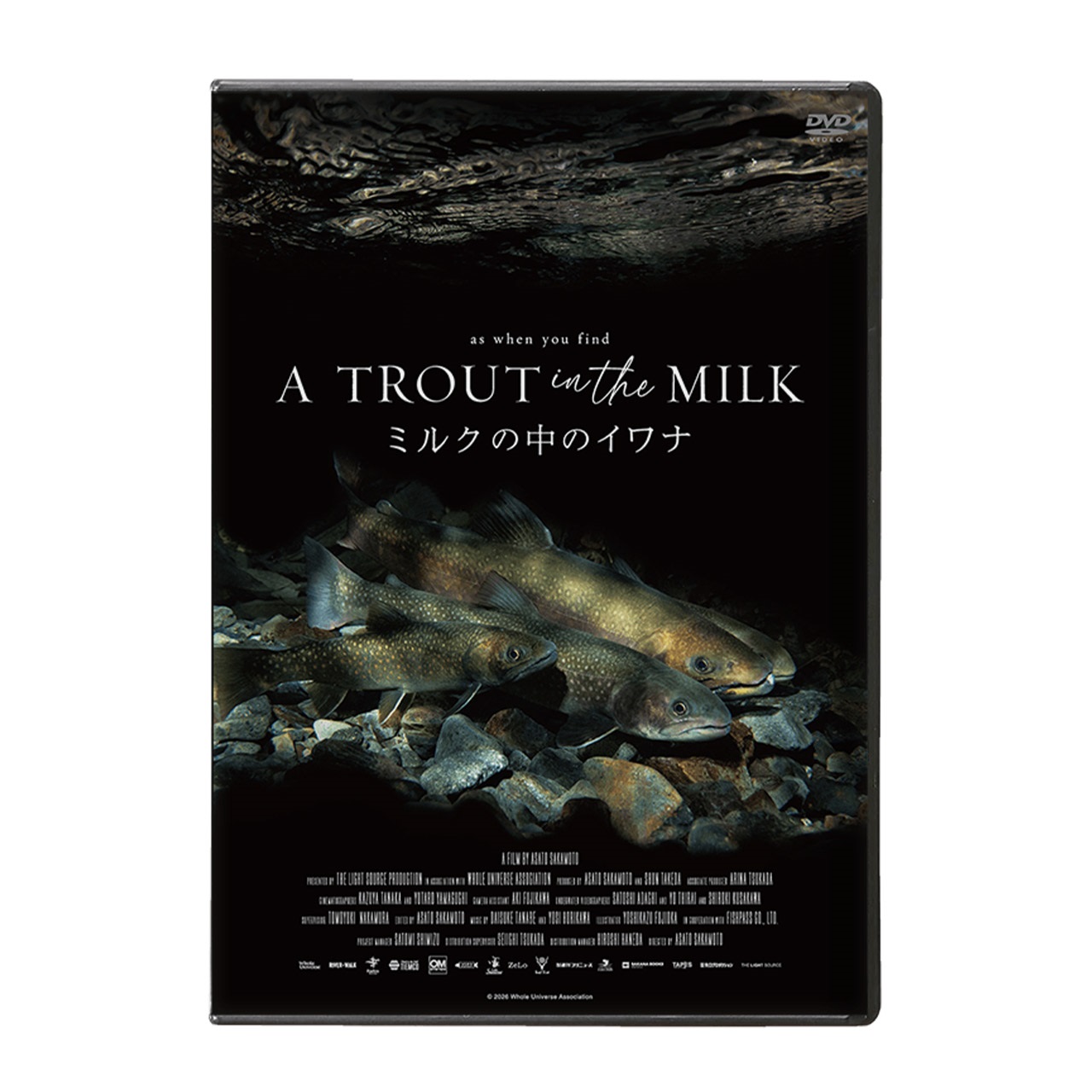 ミルクの中のイワナ Blu-ray &DVD