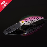 WEB限定 クランキーダーター200A