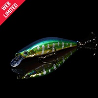 WEB限定 モルフ50SS