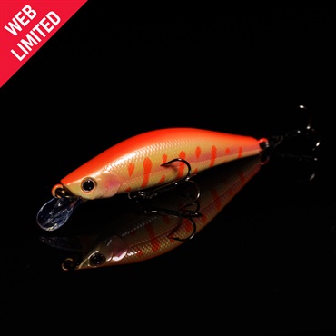 WEB限定 モルフ50SS(モルフ50SS 800アルビノヤマメ)