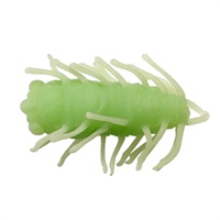 CTコゼミムシ #18 アマガエル
