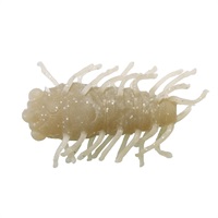 CTコゼミムシ #24 クズモチシルバー