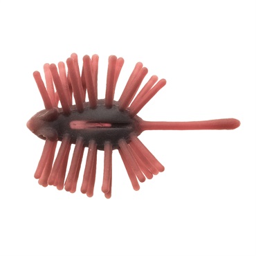 ハリネズミ Mini ECO | TIEMCOルアーフィッシング公式サイト | Lure