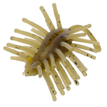 ハリネズミ Baby ECO