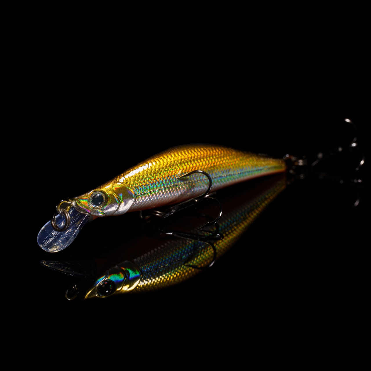 LHテネシーシャッド