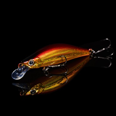 モルフ50SS(モルフ50SS 005LHアカキン)