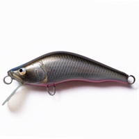 シュリュード50S  002ギンクロ