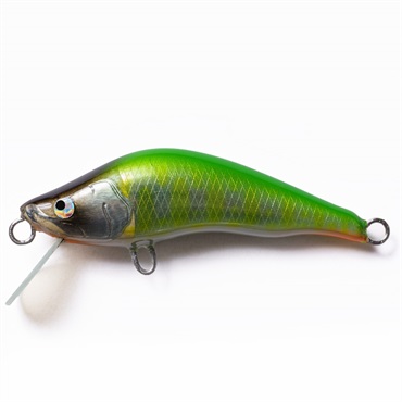 シュリュード50S(シュリュード50S  005シャートスモルト)