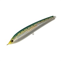 SALTYレッドペッパーJR SRPJ20マイワシ