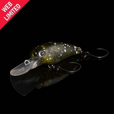 801リョクチャラテ