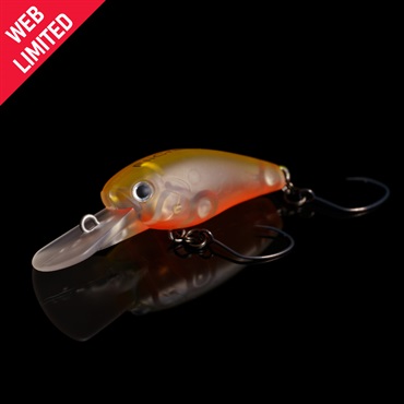 802カンキツシャートマジック