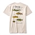 Orvis3NA6 フレッシュウォーターフィッシュT 