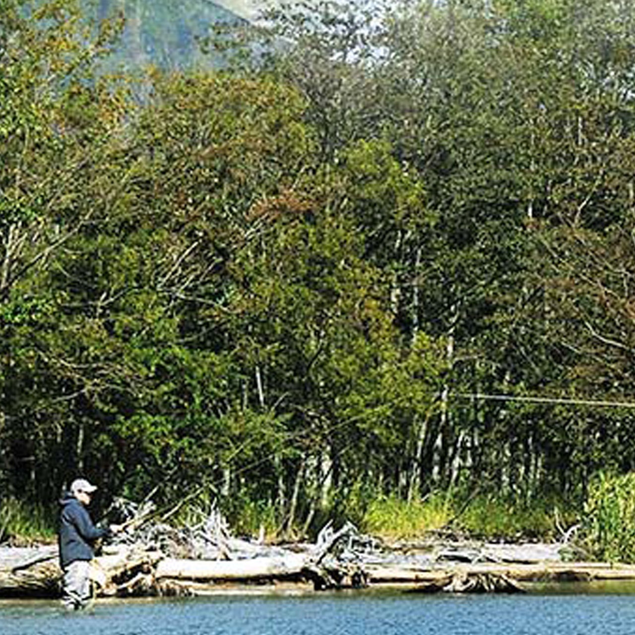 アンダーハンドベーシックスクール　2026年04月11日