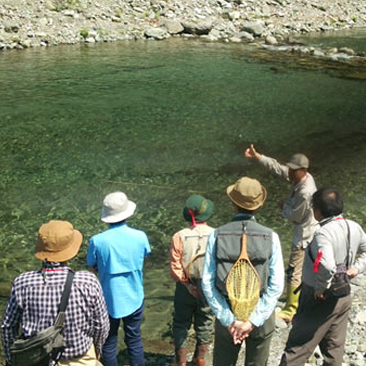 インジケーターニンフスクール　2026年10月17日