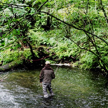 奥日光・湯川ツアー　2026年6月16日～17日