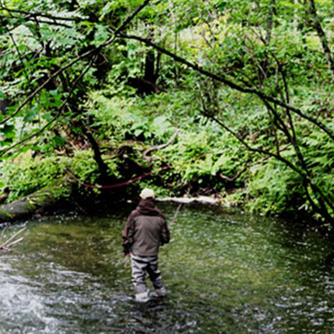 奥日光・湯川ツアー　2026年6月16日～17日