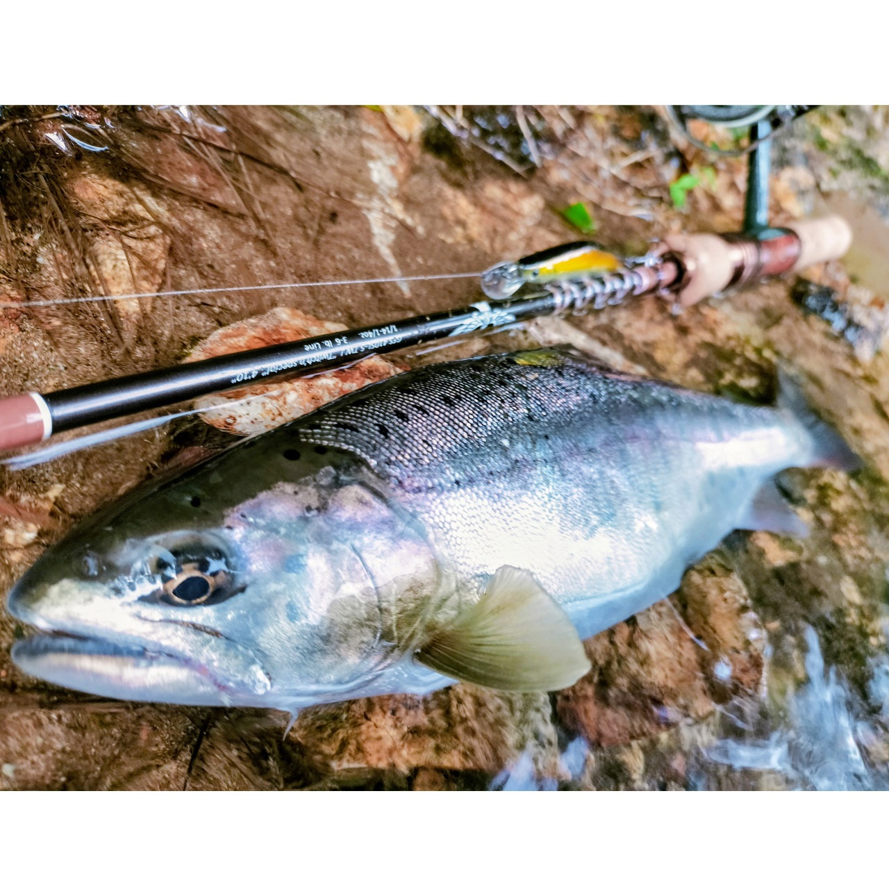 GFS410SL-5J Twitch'n Special | TIEMCOルアーフィッシング公式サイト