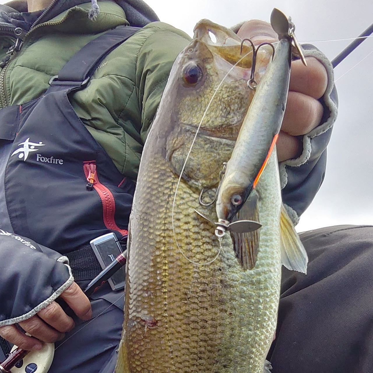 フレッシュベイトルアーズ✕ティムコ】 ステルスペッパー110S 魚