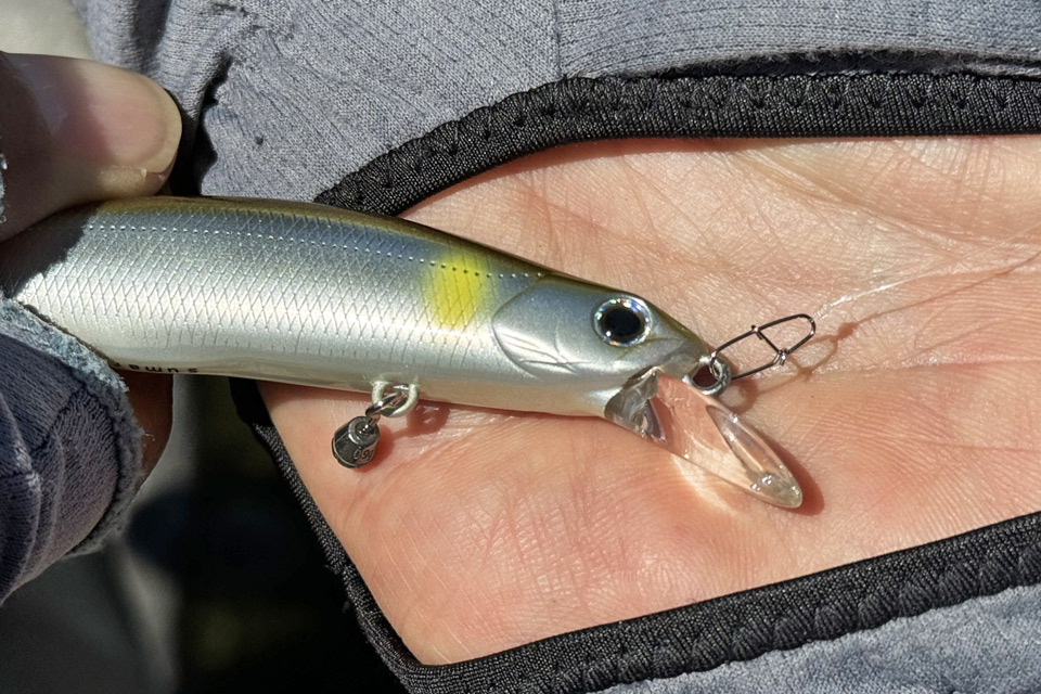 ルアーノーズとスナップ