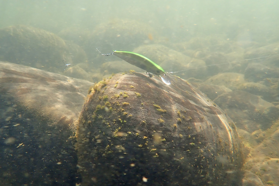 コツコツイメージ