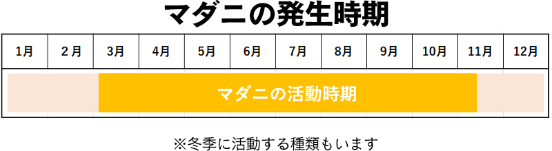 2025 Spring & Summer 新作アイテム