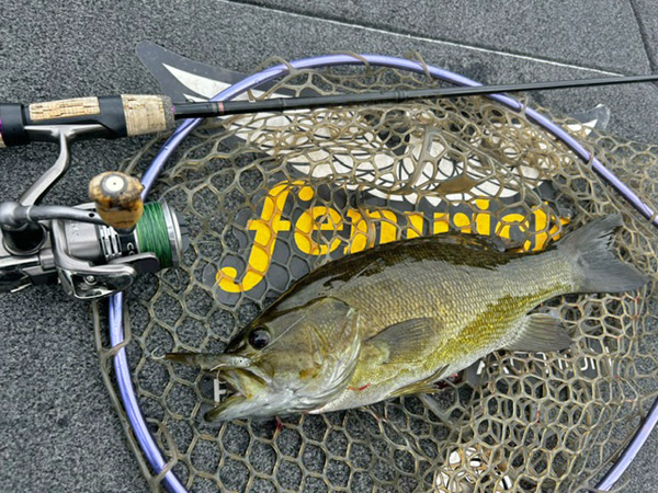 バスロッド スピニング 3本セット ism ダイワ 桧原湖 ソリッドティップ