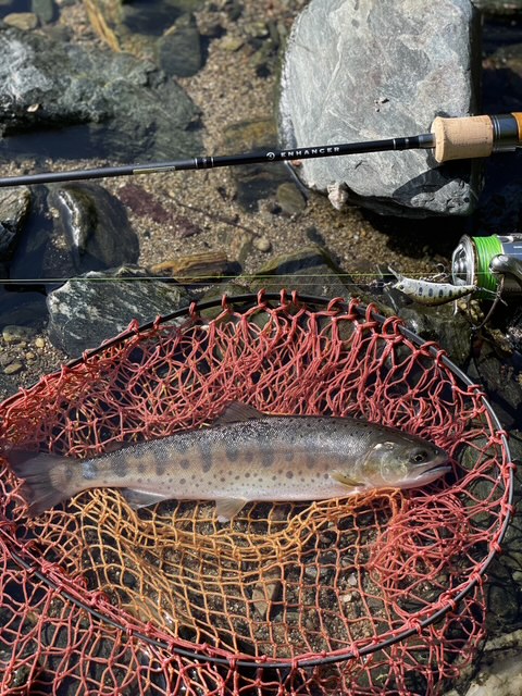 畠野 赳「NewエンハンサーEH52SL-2インプレッション」