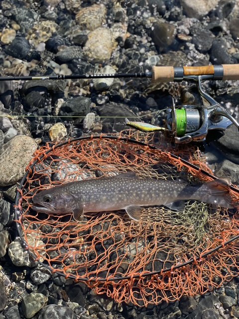 畠野 赳「NewエンハンサーEH52SL-2インプレッション」