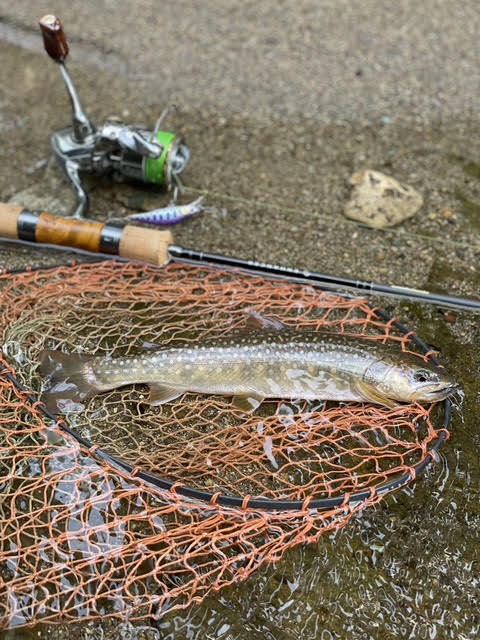 畠野 赳「NewエンハンサーEH52SL-2インプレッション」