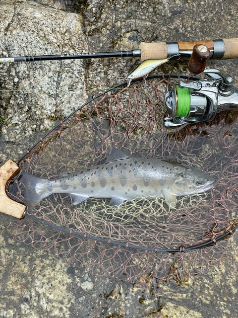 畠野 赳「NewエンハンサーEH52SL-2インプレッション」