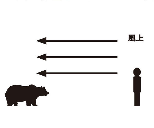 熊と風向きの確認