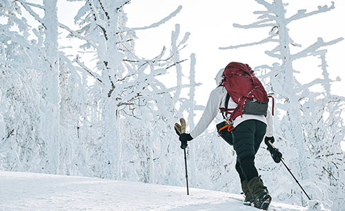 グリッドウールフーディ着用