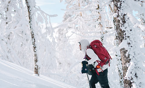グリッドウールフーディ着用