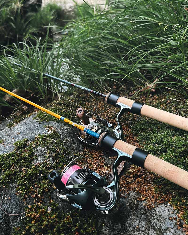 苔むした岩に立てかけた&ldquo;Chub Trek&rdquo; C1PとC3P