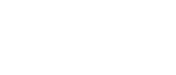 South2 West8 × Foxfire