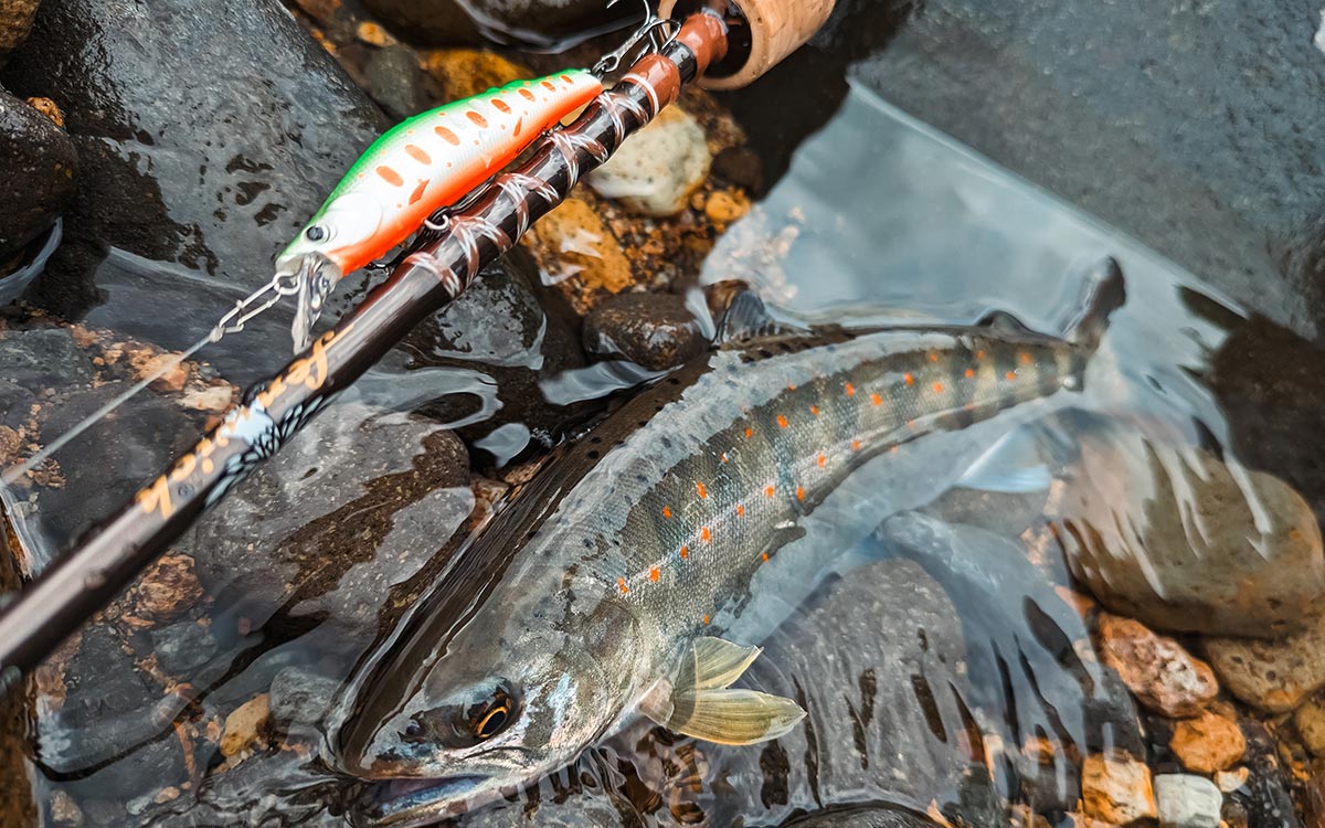 釣果の先にある愉しみを知る大人へ
