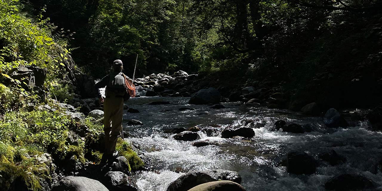 キャスティング