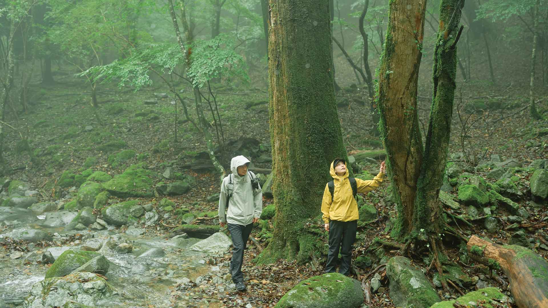 防水ジャケット