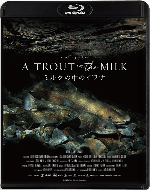 A TROUT IN THE MILK Blu-ray
