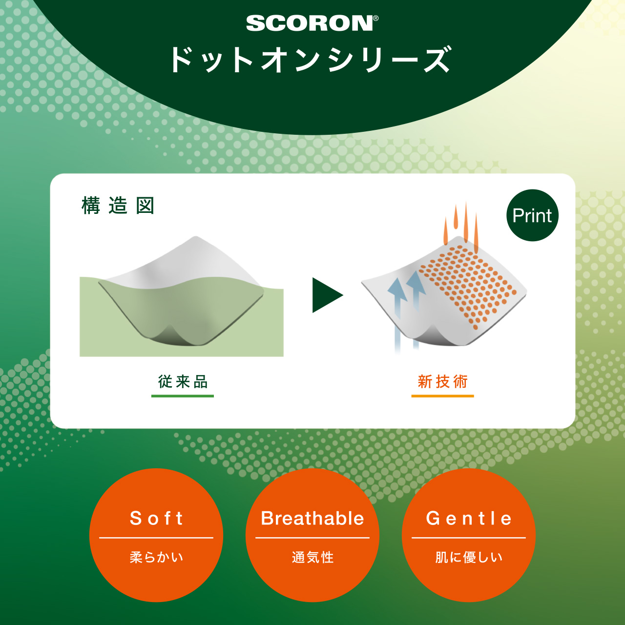 2025 Spring & Summer 新作アイテム