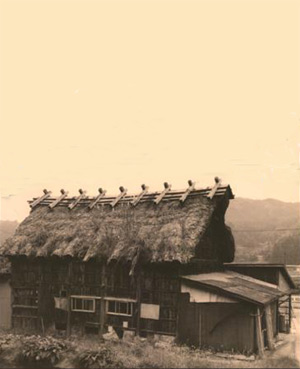 Description