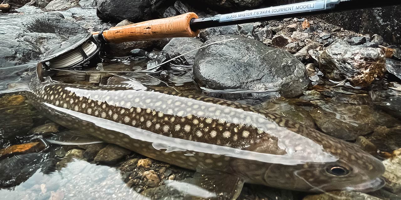 釣りの楽しさ